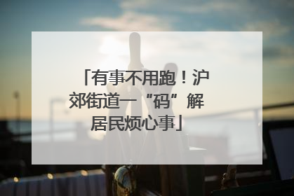 有事不用跑！沪郊街道一“码”解居民烦心事
