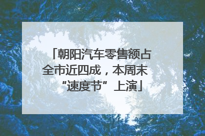 朝阳汽车零售额占全市近四成，本周末“速度节”上演
