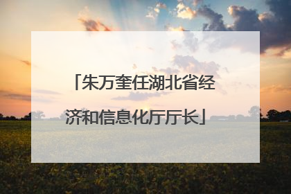 朱万奎任湖北省经济和信息化厅厅长