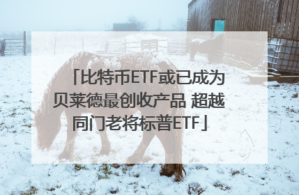 比特币ETF或已成为贝莱德最创收产品 超越同门老将标普ETF