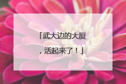 武大边的大厦，活起来了！