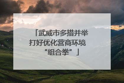 武威市多措并举打好优化营商环境“组合拳”