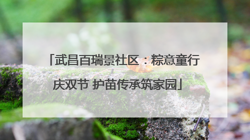 武昌百瑞景社区：粽意童行庆双节 护苗传承筑家园