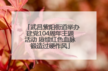 武昌紫阳街道举办建党104周年主题活动 赓续红色血脉锻造过硬作风