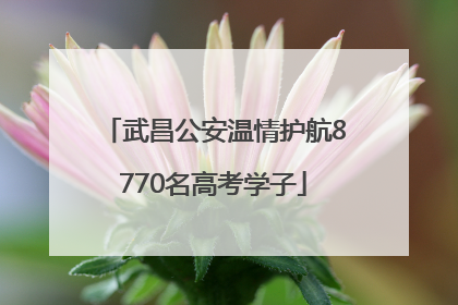 武昌公安温情护航8770名高考学子