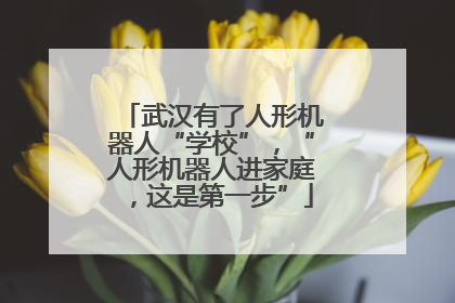 武汉有了人形机器人“学校”，“人形机器人进家庭，这是第一步”