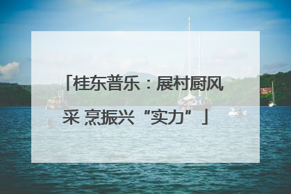 桂东普乐：展村厨风采 烹振兴“实力”