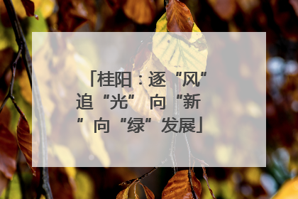 桂阳：逐“风”追“光” 向“新”向“绿”发展