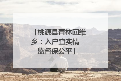 桃源县青林回维乡：入户查实情 监督保公平