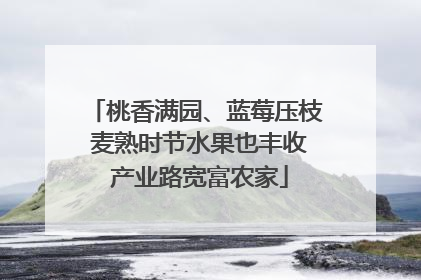 桃香满园、蓝莓压枝 麦熟时节水果也丰收 产业路宽富农家