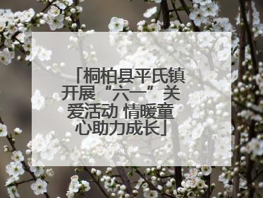 桐柏县平氏镇开展“六一”关爱活动 情暖童心助力成长
