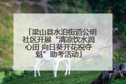 梁山县水泊街道公明社区开展“清凉饮水润心田 向日葵开花祝夺魁”助考活动