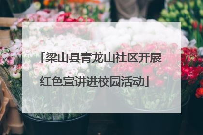 梁山县青龙山社区开展红色宣讲进校园活动
