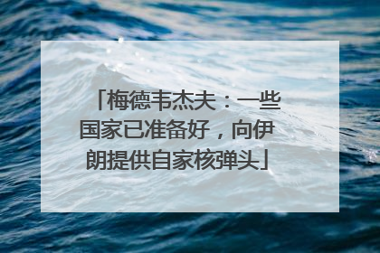 梅德韦杰夫：一些国家已准备好，向伊朗提供自家核弹头