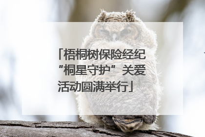 梧桐树保险经纪“桐星守护”关爱活动圆满举行