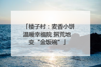 楼子村：麦香小饼温暖幸福院 撂荒地变“金饭碗”