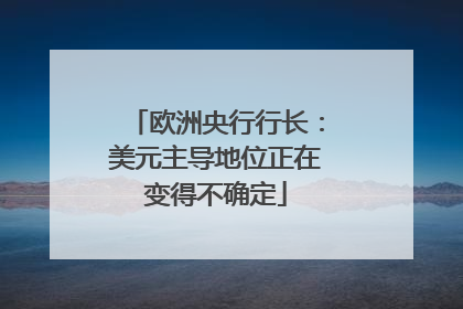 欧洲央行行长：美元主导地位正在变得不确定