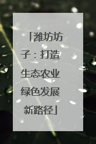 潍坊坊子：打造生态农业绿色发展新路径