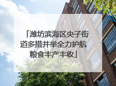 潍坊滨海区央子街道多措并举全力护航粮食丰产丰收