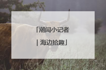 潮闻小记者｜海边拾趣