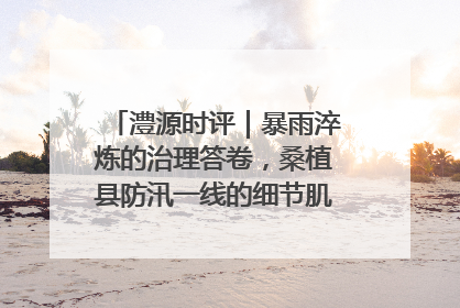 澧源时评｜暴雨淬炼的治理答卷，桑植县防汛一线的细节肌理与体系力量