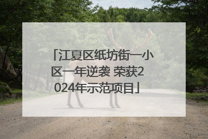 江夏区纸坊街一小区一年逆袭 荣获2024年示范项目