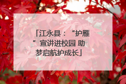 江永县：“护雁”宣讲进校园 助梦启航护成长