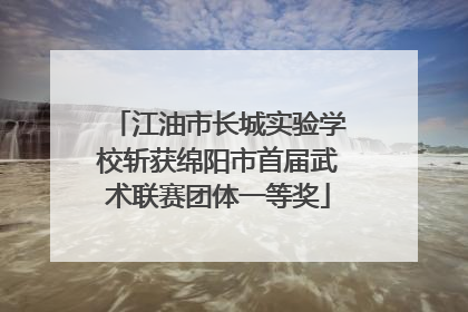 江油市长城实验学校斩获绵阳市首届武术联赛团体一等奖