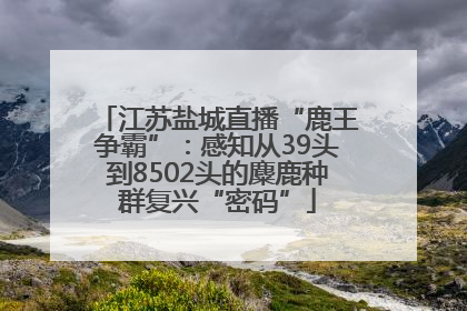 江苏盐城直播“鹿王争霸”：感知从39头到8502头的麋鹿种群复兴“密码”