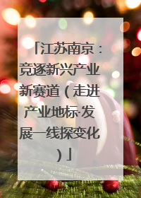 江苏南京：竞逐新兴产业新赛道（走进产业地标·发展一线探变化）
