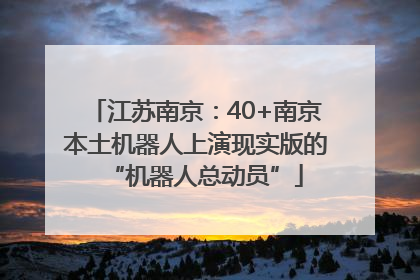 江苏南京：40+南京本土机器人上演现实版的“机器人总动员”