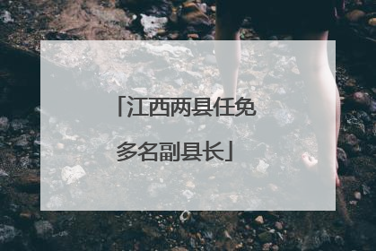 江西两县任免多名副县长
