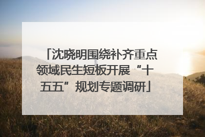 沈晓明围绕补齐重点领域民生短板开展“十五五”规划专题调研