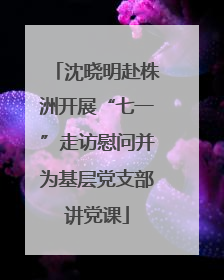 沈晓明赴株洲开展“七一”走访慰问并为基层党支部讲党课