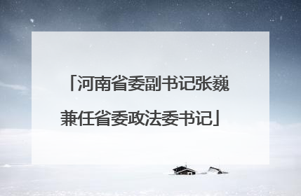 河南省委副书记张巍兼任省委政法委书记