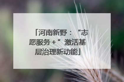 河南新野：“志愿服务＋”激活基层治理新动能