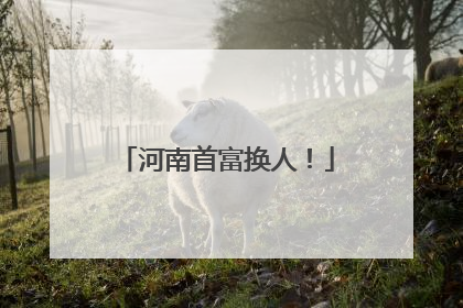 河南首富换人！