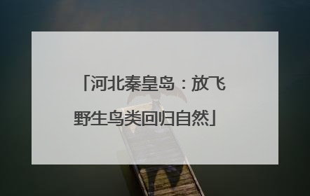 河北秦皇岛：放飞野生鸟类回归自然