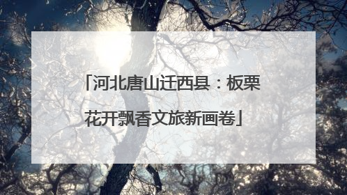 河北唐山迁西县：板栗花开飘香文旅新画卷