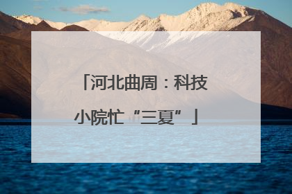 河北曲周：科技小院忙“三夏”