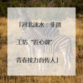河北涞水：非遗工坊“匠心课” 青春接力育传人