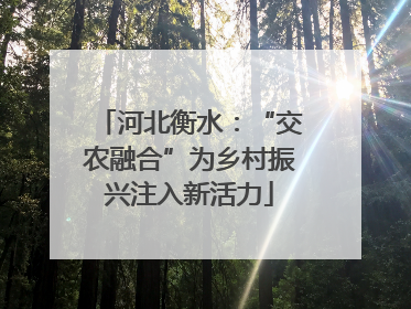 河北衡水：“交农融合”为乡村振兴注入新活力