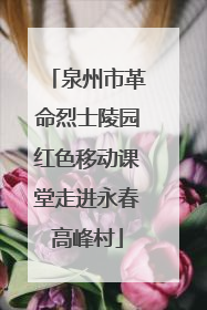 泉州市革命烈士陵园红色移动课堂走进永春高峰村