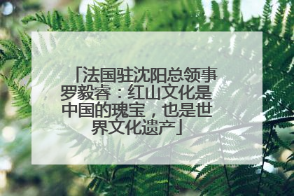 法国驻沈阳总领事罗毅睿：红山文化是中国的瑰宝，也是世界文化遗产