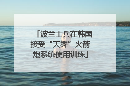 波兰士兵在韩国接受“天舞”火箭炮系统使用训练