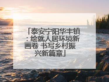 泰安宁阳华丰镇：绘就人居环境新画卷 书写乡村振兴新篇章