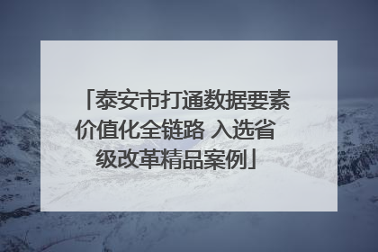 泰安市打通数据要素价值化全链路 入选省级改革精品案例