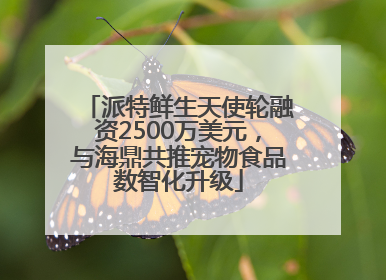 派特鲜生天使轮融资2500万美元，与海鼎共推宠物食品数智化升级