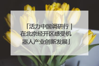 活力中国调研行｜在北京经开区感受机器人产业创新发展