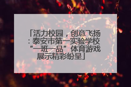 活力校园，创意飞扬：泰安市第一实验学校“一班一品”体育游戏展示精彩纷呈